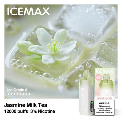 ICEMAX 12000 Puffs Disposable